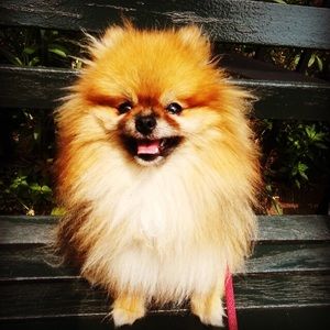 Meet your Posher, Maureen